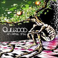 QWD-0411