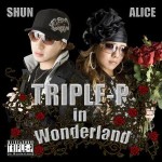 XNCE-33313