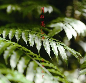 TUNE-8