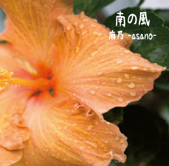 UANR-00021