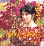 11NCD-501