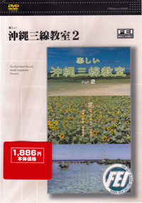 FEI-DV022