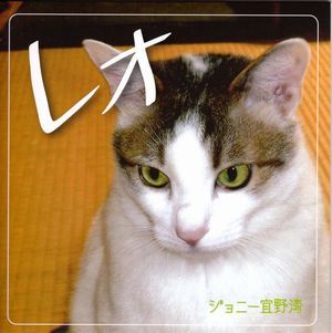 GINO-10